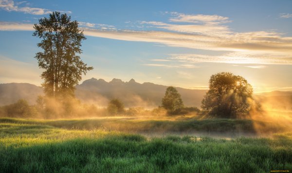 Рассвет над лугом