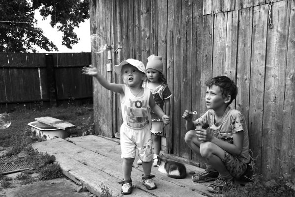 Дети во дворе живопись