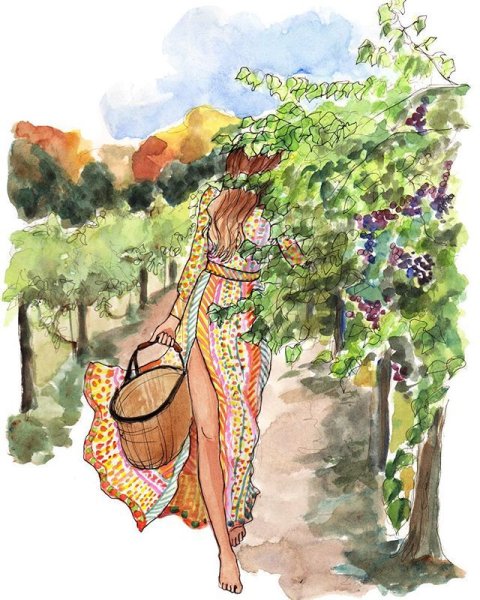 Inslee Haynes иллюстрации