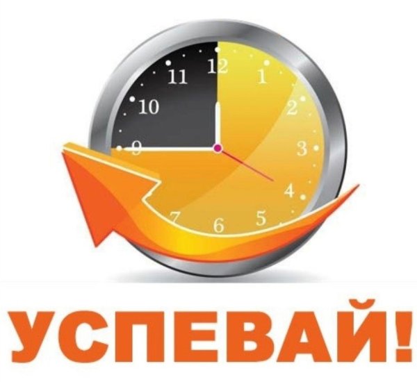 Планы на лето юмор