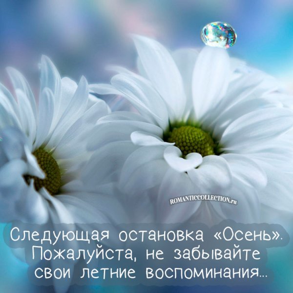 Лето это маленькая жизнь цитаты