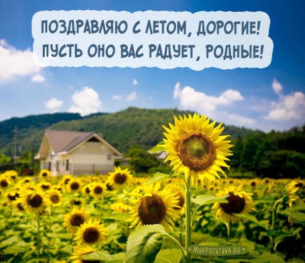 Шутки про лето