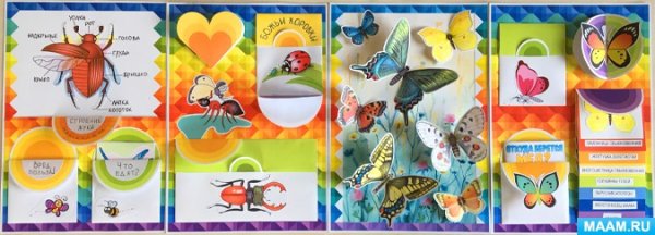 Кармашки для лэпбука по экологии