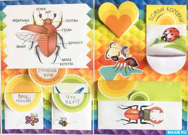 Лэпбук вода