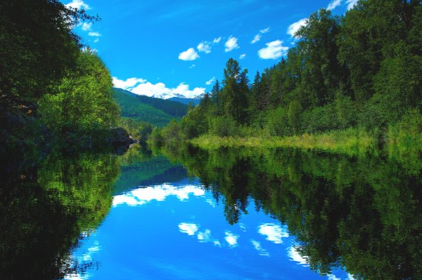 Озеро в лесу