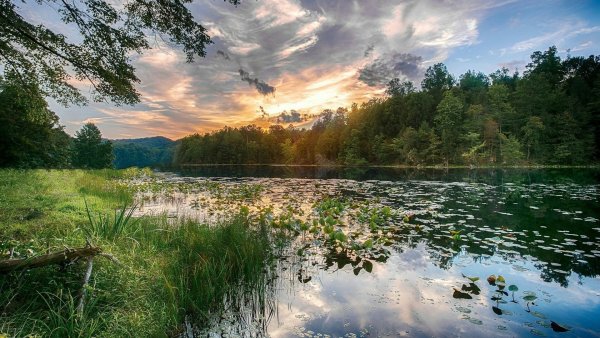 Природа река