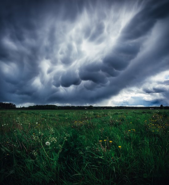 Перед грозой