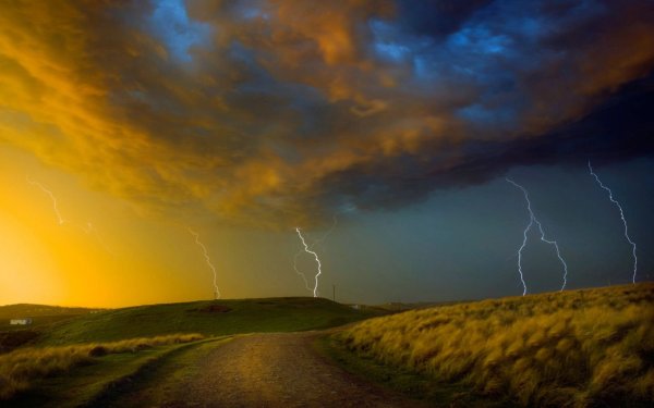 Природа после грозы