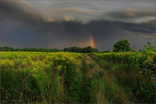 Природа с грозой