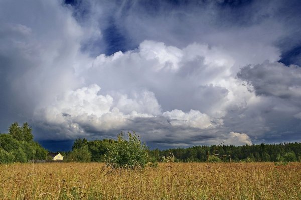 Природа лето Радуга