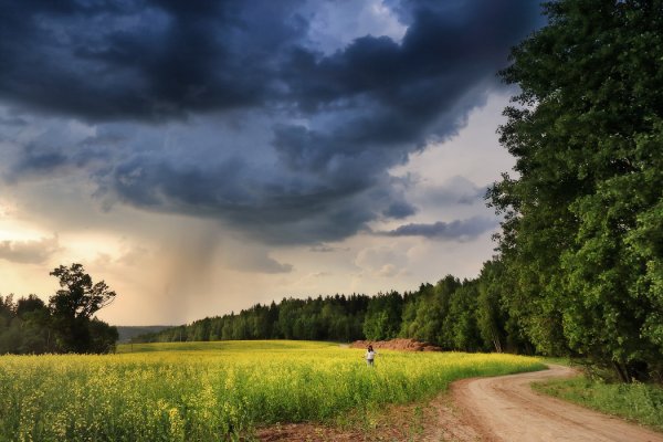 Лето гроза