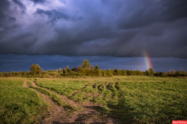 Весенняя гроза