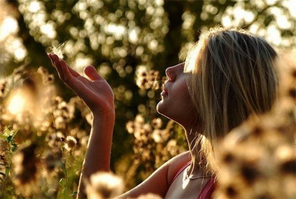 Прощаясь с летом