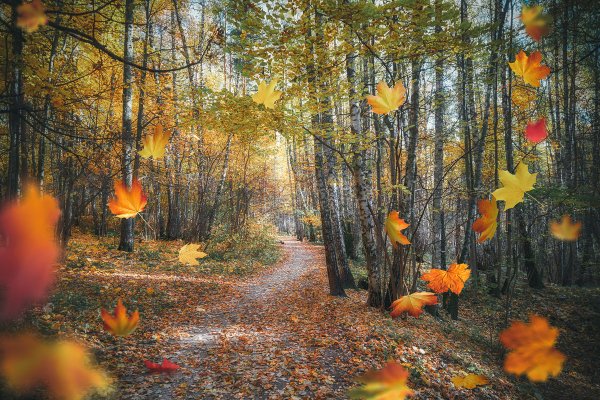 Прощание с летом