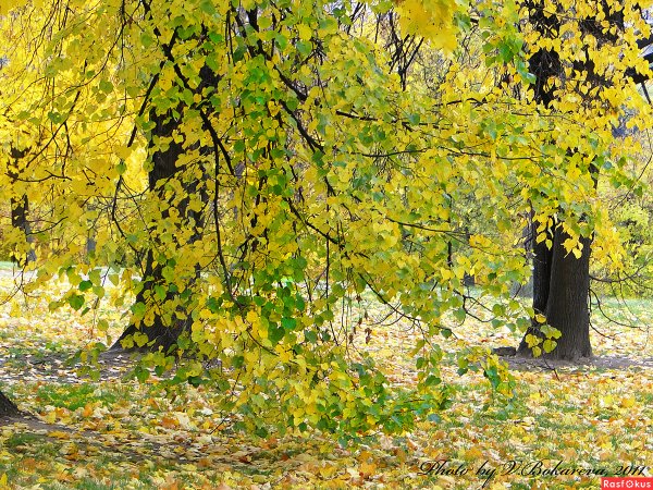 Прощаемся с летом