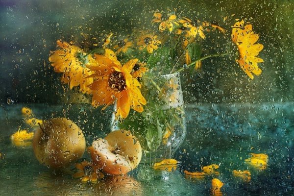 Август дождь осень