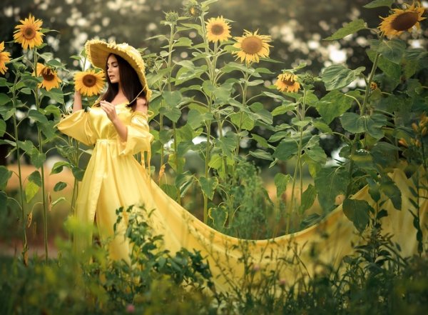 Прощай лето солнышко