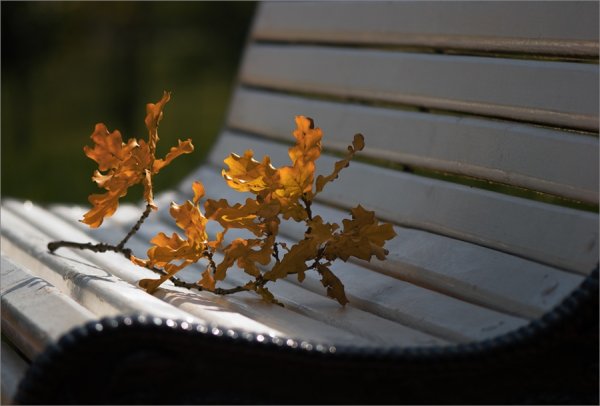 Прощание осени