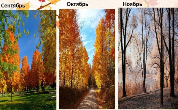 Осень сентябрь октябрь ноябрь