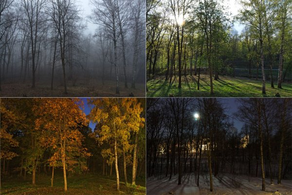 Пейзаж в Разное время года