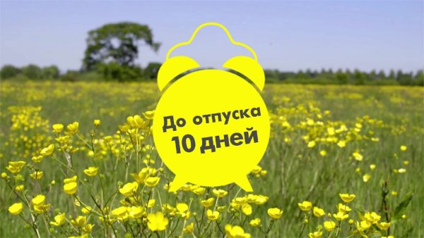 Летние воспоминания