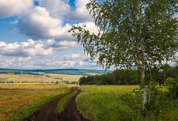 Родные просторы Башкирии