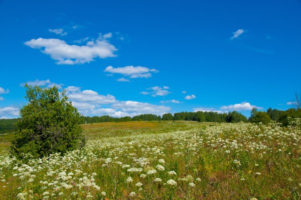 Луга Башкортостана