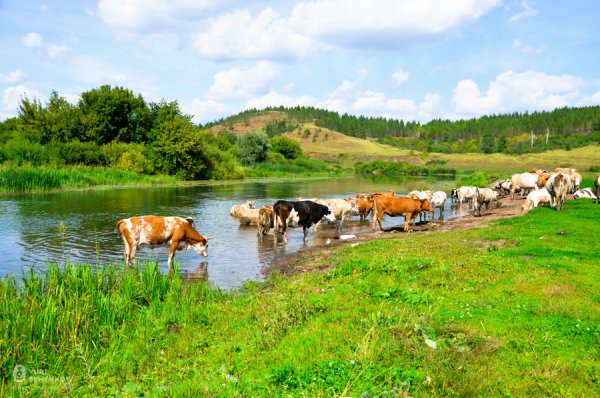 Просторы Башкортостана