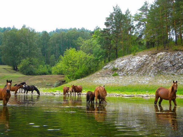 Аскино Башкортостан природа