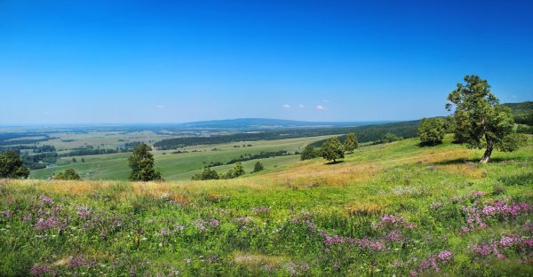 Поля Урала Башкирия