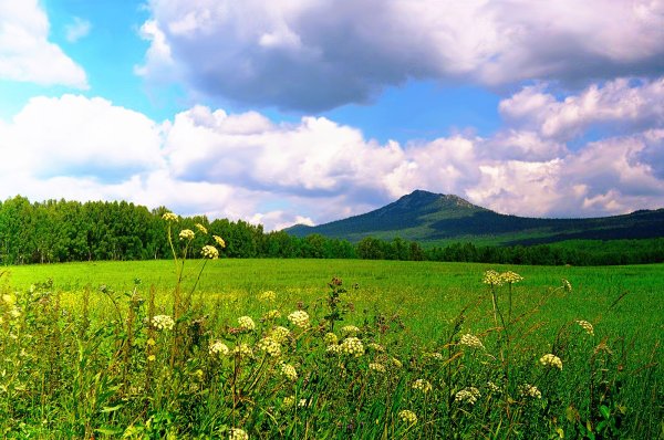 Дети лето зелень природа Башкирии