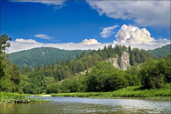 Природа Башкортостана речка лес