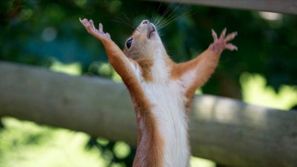 Скоро лето цитаты