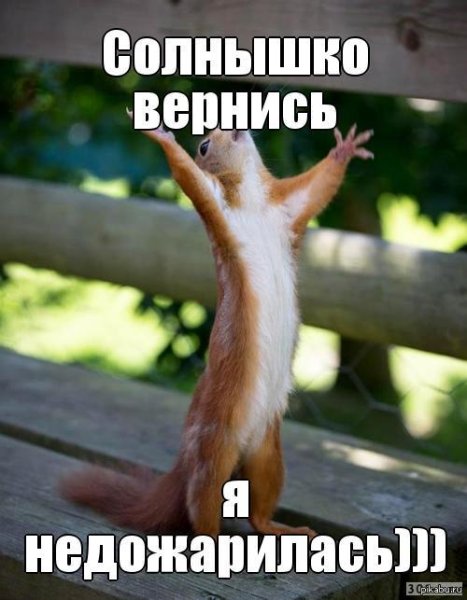 Море позитива