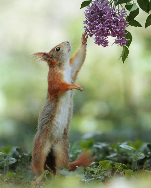 Природа улыбается