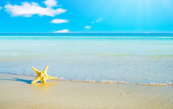 Лето природа