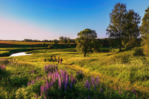 Красота деревенской природы России