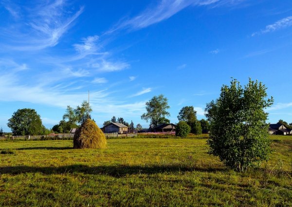 Сенокос деревня природа храм