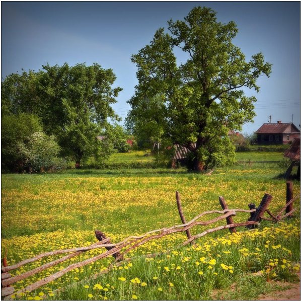 Деревенские мотивы