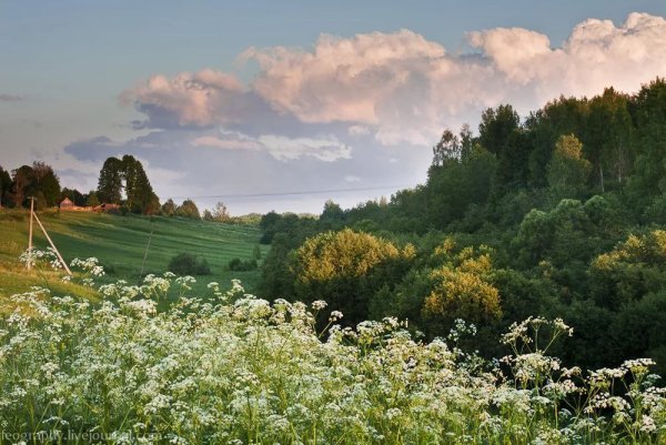 Красивые летние пейзажи России