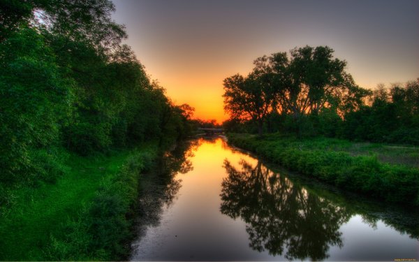 Лето ночь природа