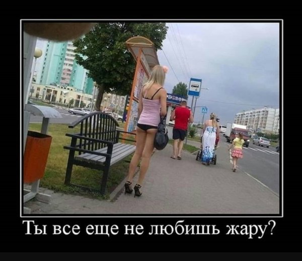 Жара демотиваторы