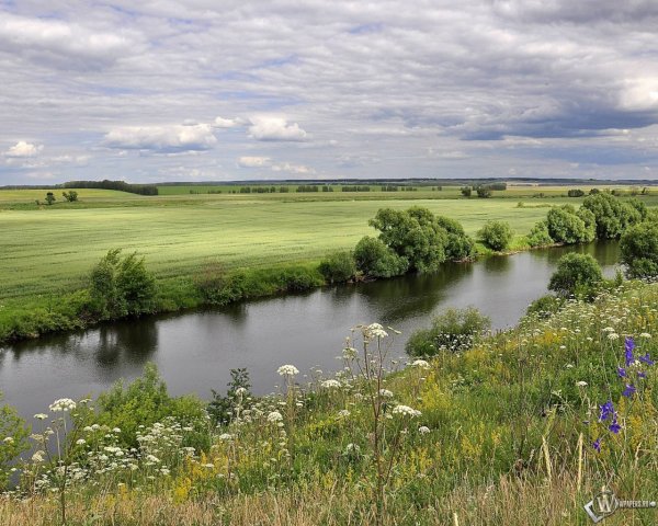 Река Усманка фото с квадрокоптера