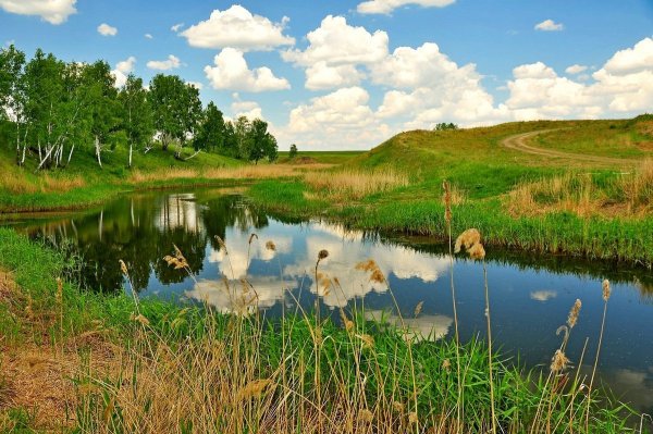 Река Тарбуга Омская область