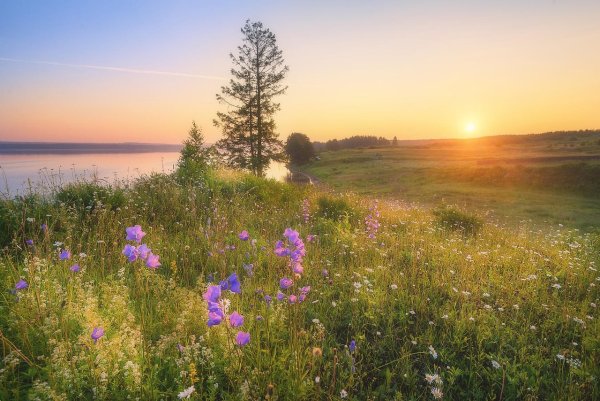 Лето в Кировской области