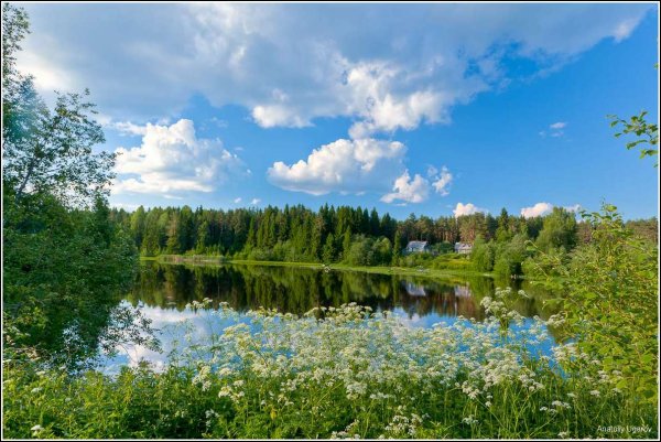 Летний день в Сибири