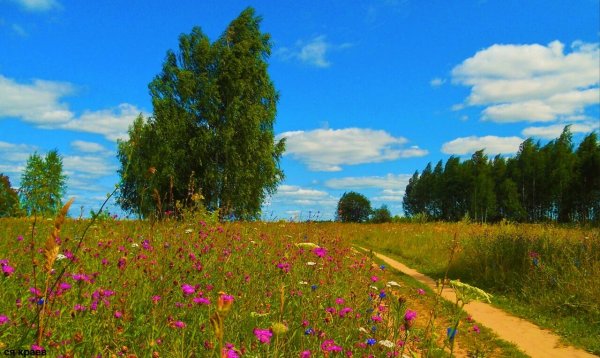 Лето фотопейзажи Сергея Краева