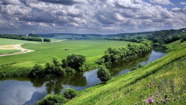 Поле Калужская область