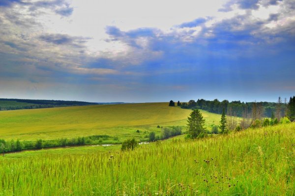 Луга Марий Эл