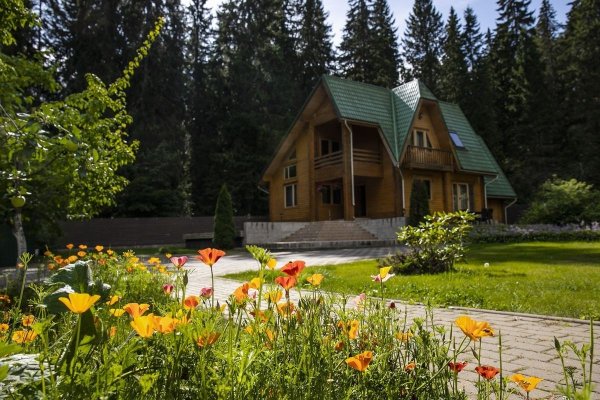 Швейцария террасирование big